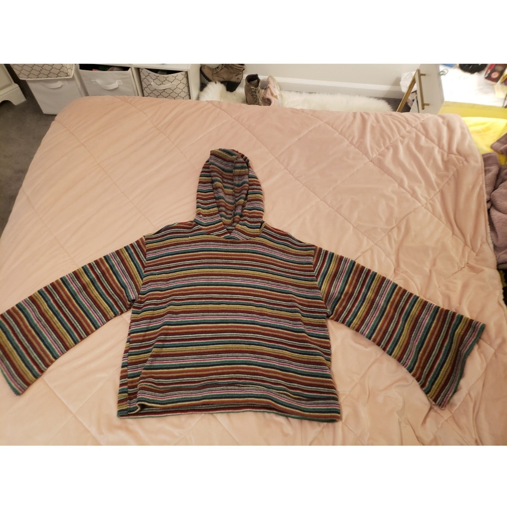 Cropped rainbow stripped hoodie